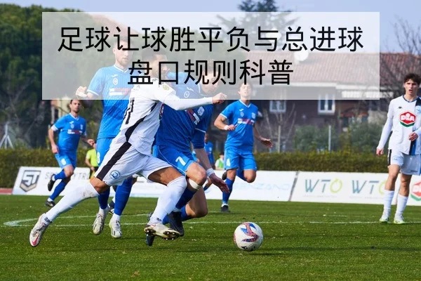 足球让球胜平负与总进球盘口规则科普